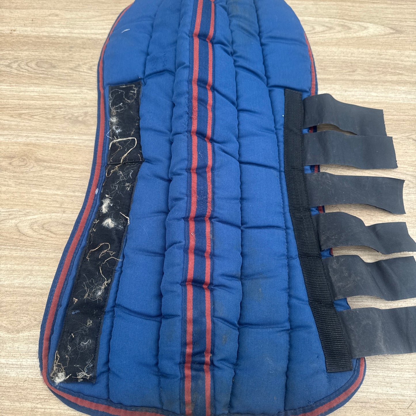 Cob Size Padded Travel Boots Set Second Hand Horse Tack