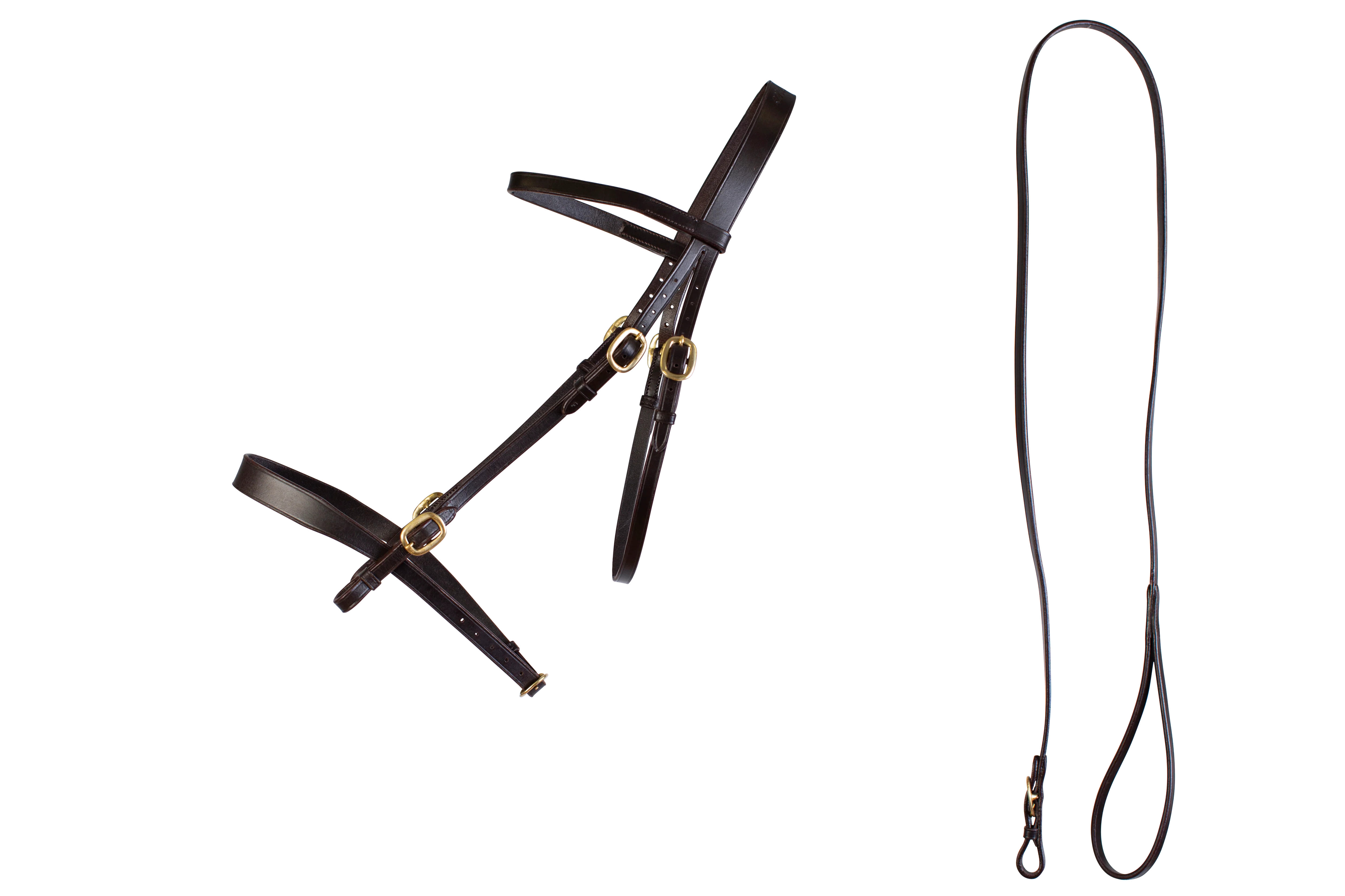 Cameo Inhand Bridle & Lead