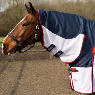 Gallop TROJAN Waterproof Fly Rug Combo .