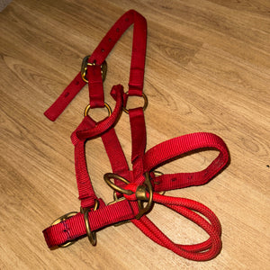 Genuine Original Pony Monty Roberts Dually Headcollar