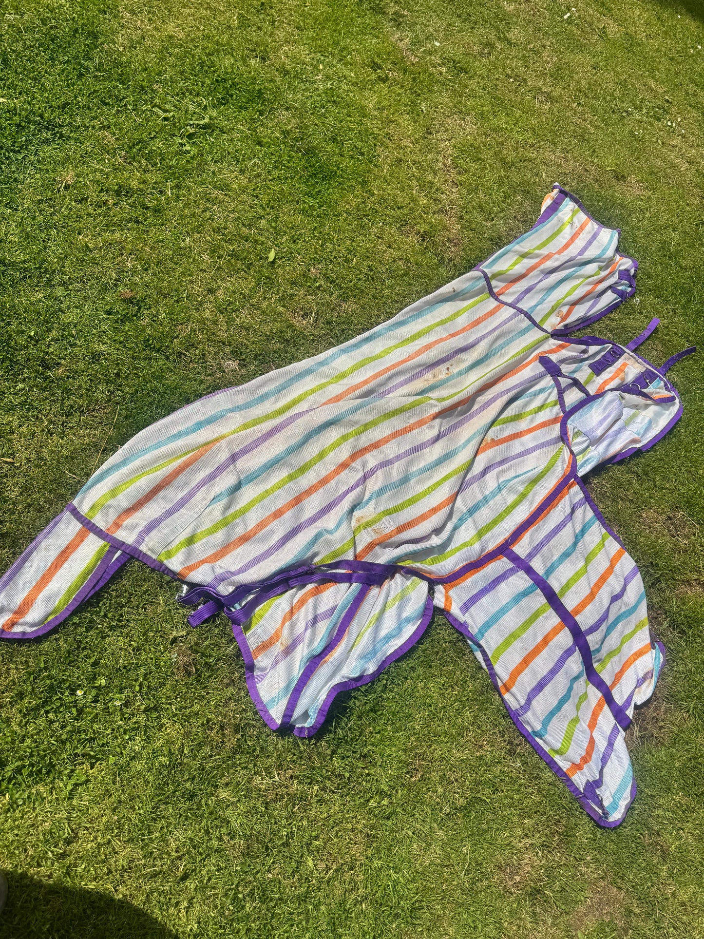 Maxima Bright Fly Combo Rug 6’6 Second Hand Horse Tack Cob