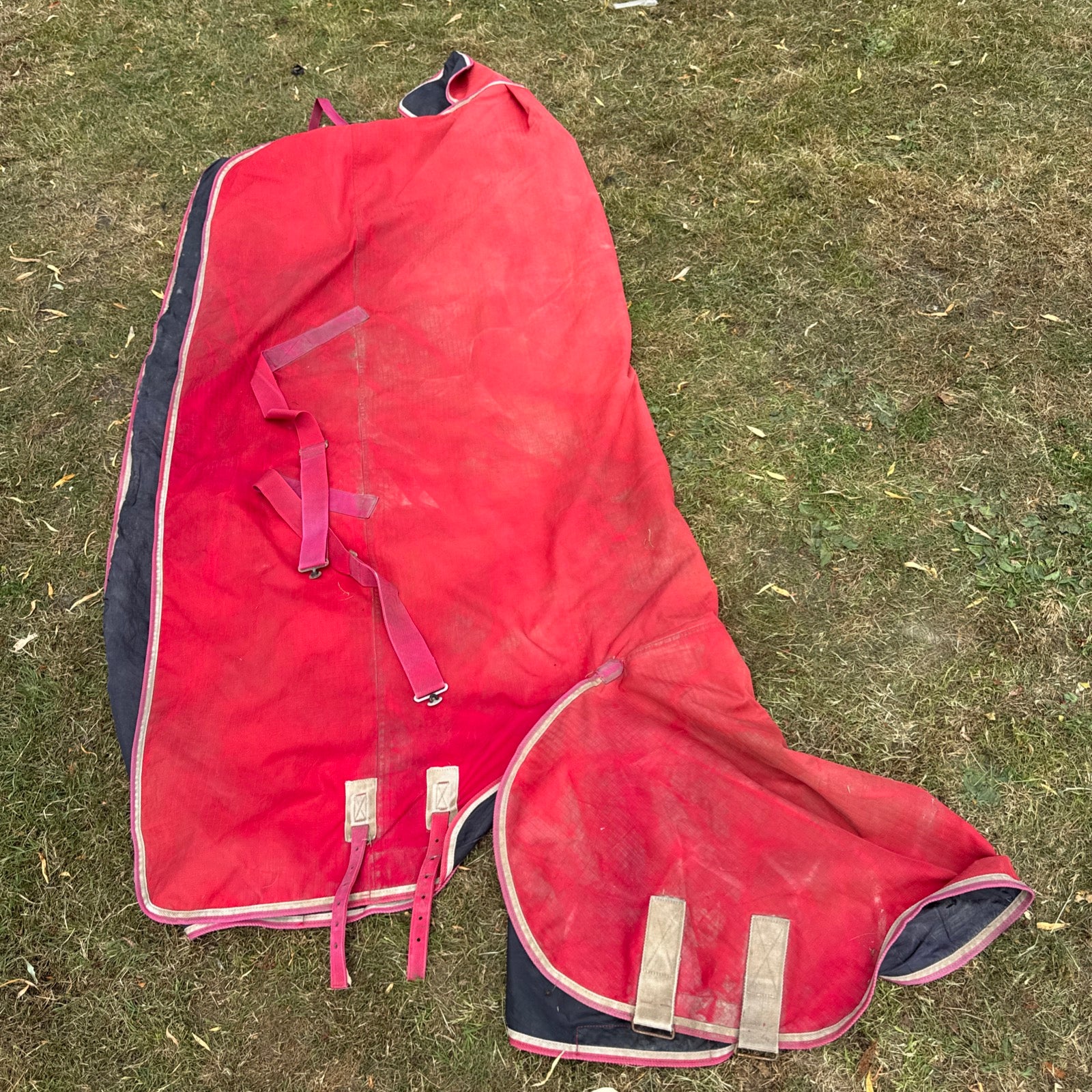 Shires Tempest 6’9 No Fill Turnout Combo Rug