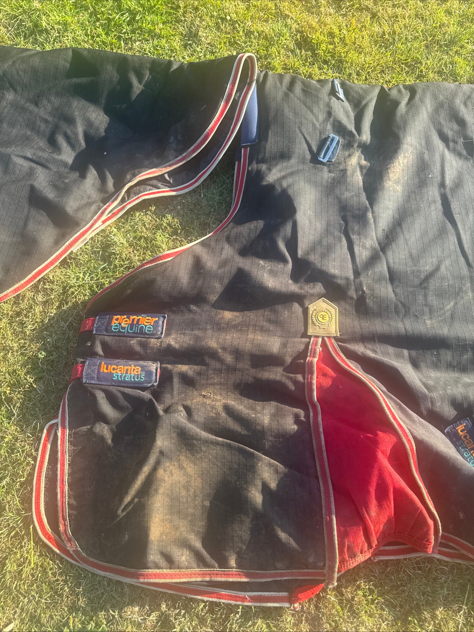 Premier Equine Lucanta Stratus 450gm 6’6 Turnout Rug