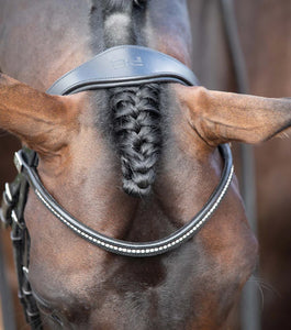 Stellazio Anatomic Snaffle Bridle with Flash
