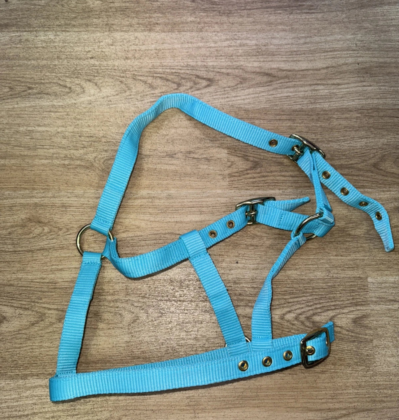 STS Foal Headcollar
