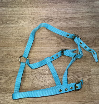 STS Foal Headcollar