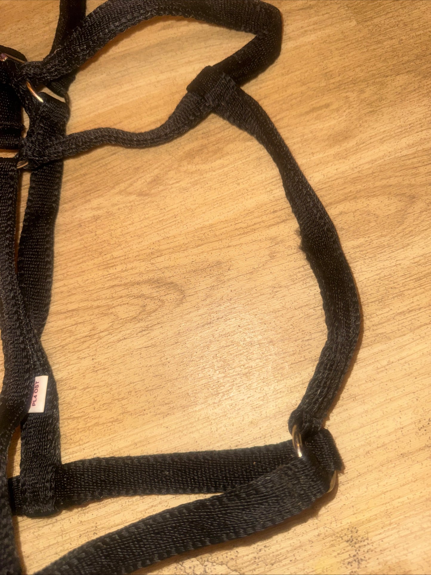 Libby’s Horse Driving Headcollar – Full Size – Under Bridle Halter