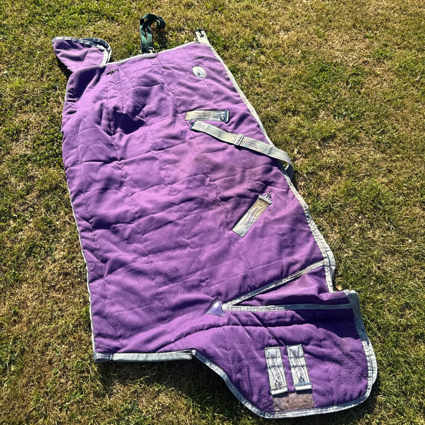 Slumberdown 300gm Purple 5’6 Stable Rug - Free Postage