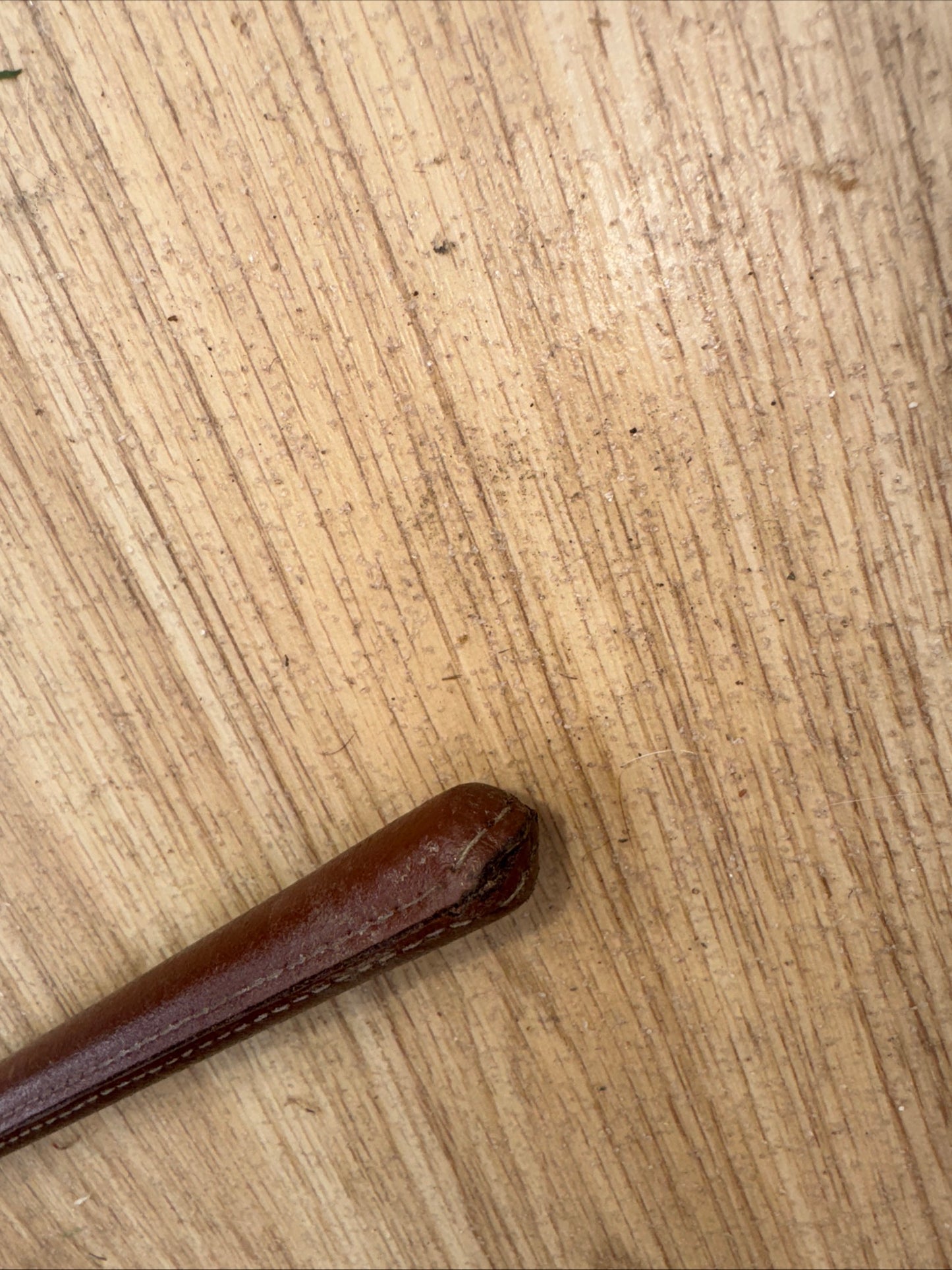 Brown Leather 24” Show Cane | Showing Second Hand Horse Tack #22
