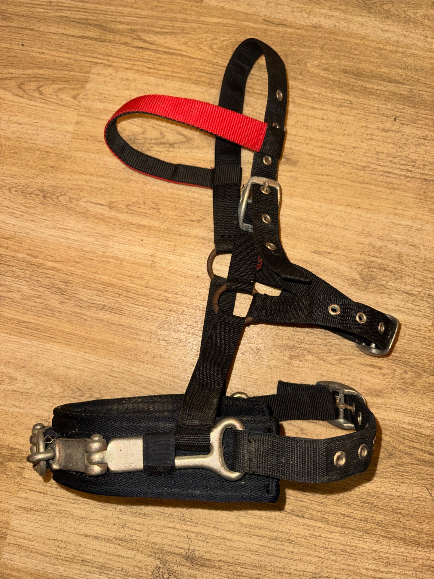 Eclipse Pony Lunging Cavesson Training Aid Second Hand Horse Tack #1