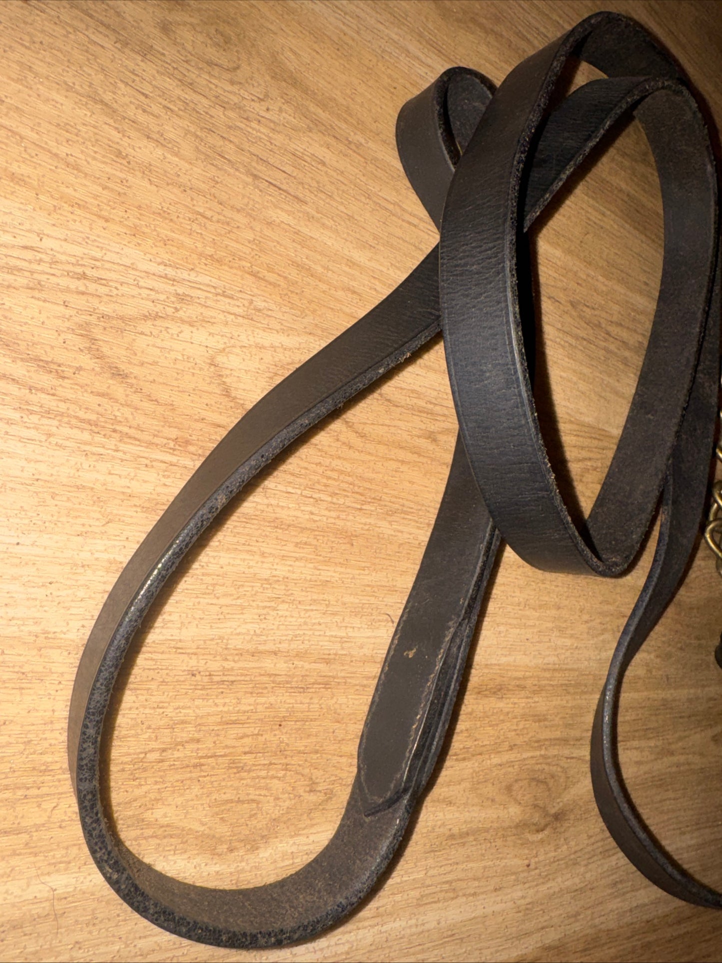 English Leather Black Inhand Showing Lead And Coupling #1 Show Horse Cob