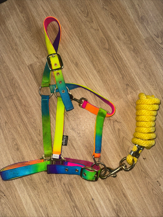 Elico Rainbow Full Size Headcollar & Yellow Leadrope
