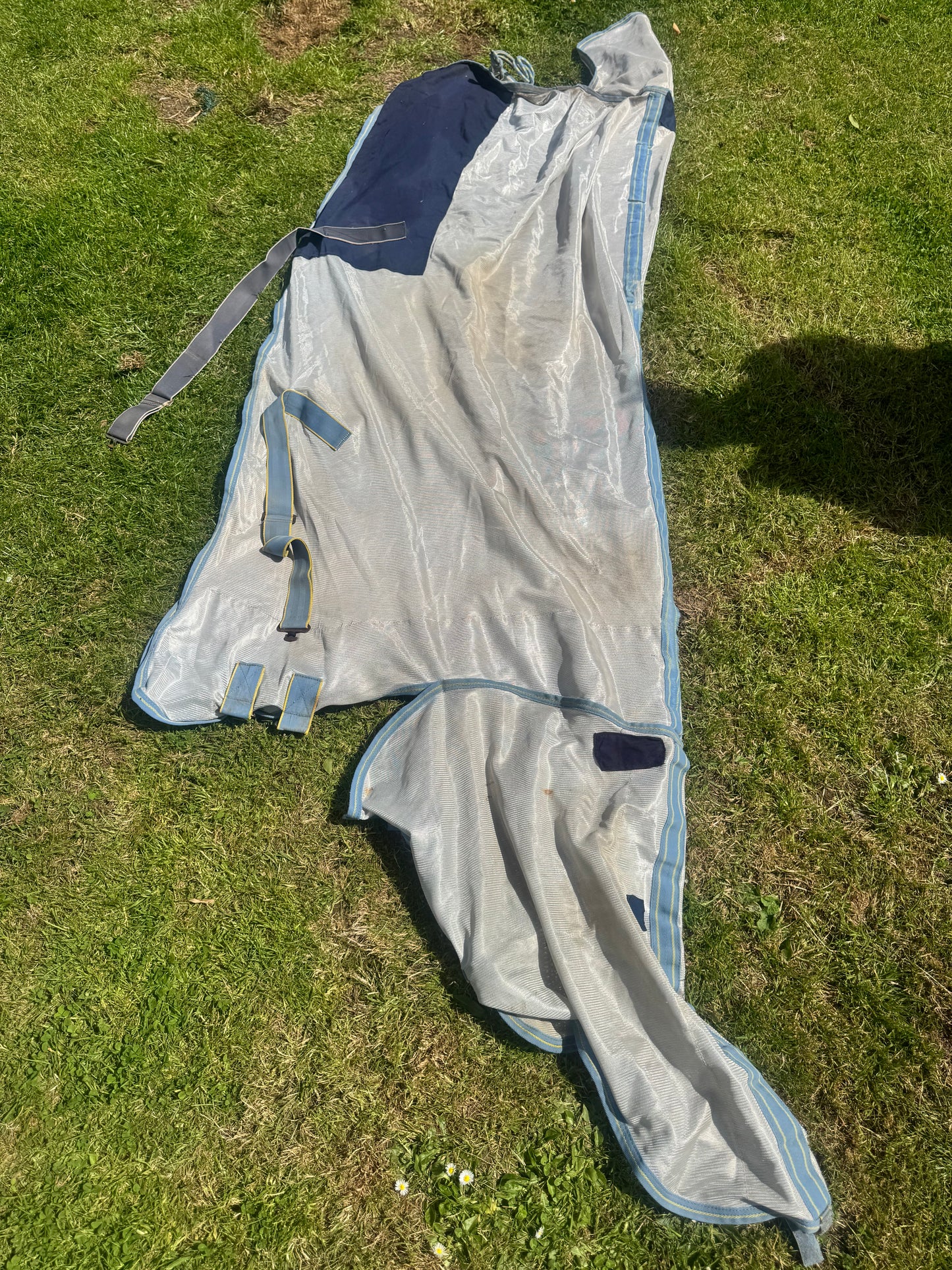 Saxon 6’6 Fly Combo Rug Second Hand Cob Horse Tack
