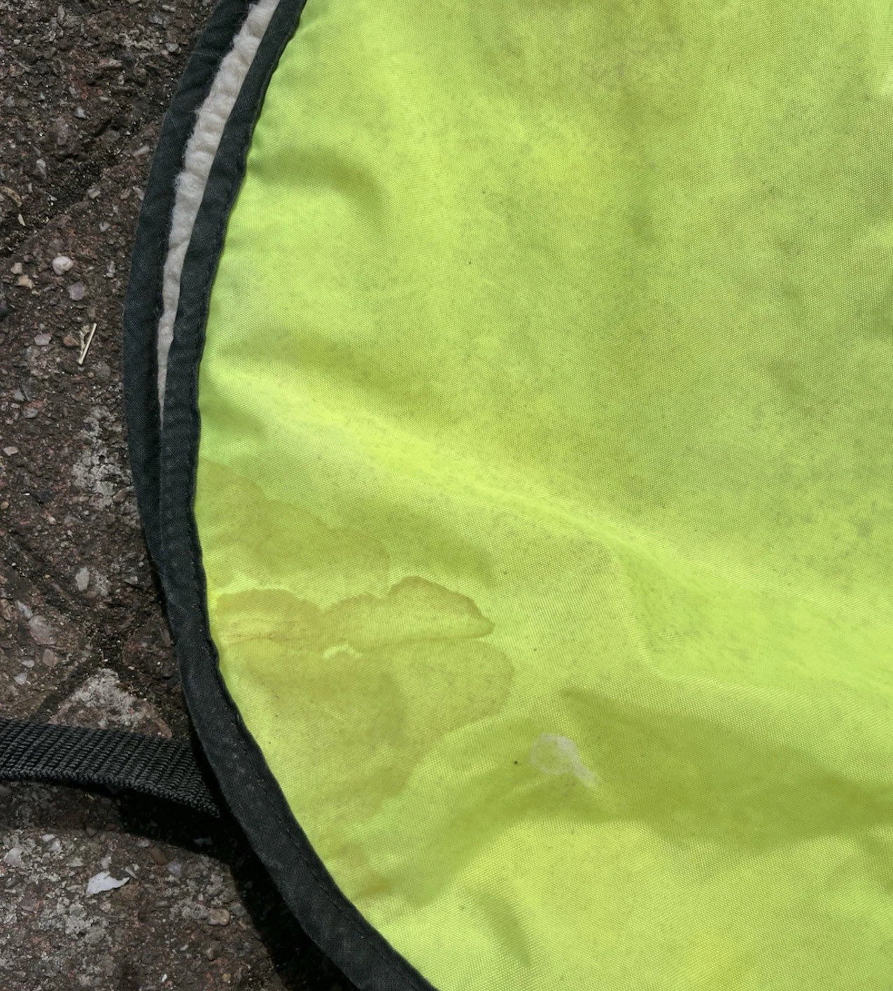 Wyvern Reflective Strip COB Exercise Quarter Sheet