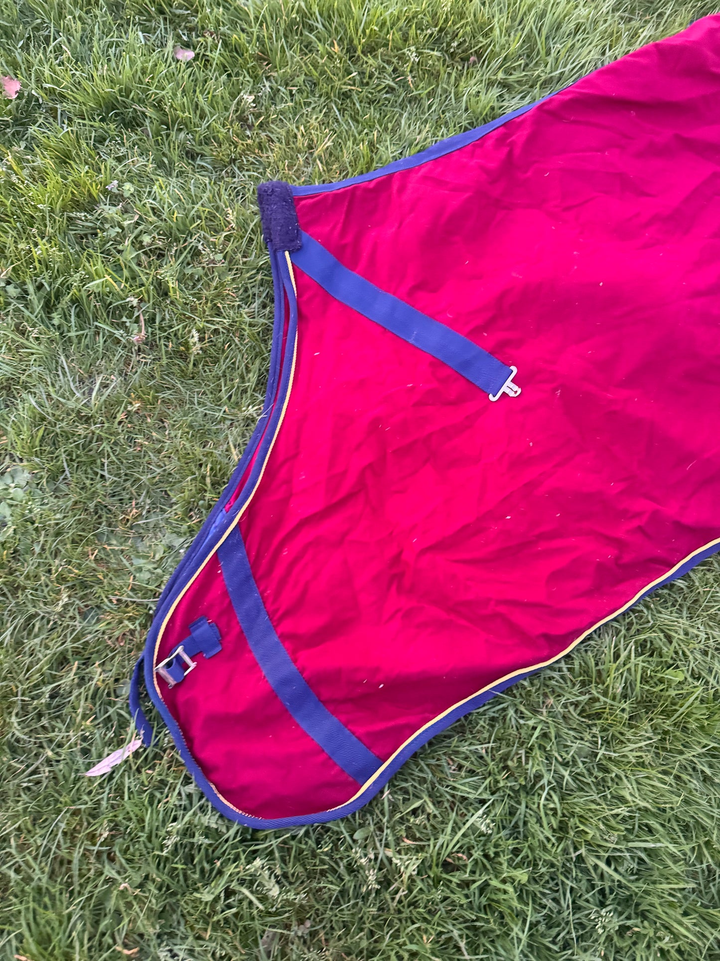Derby House Summer Sheet Horse Rug – 5’9