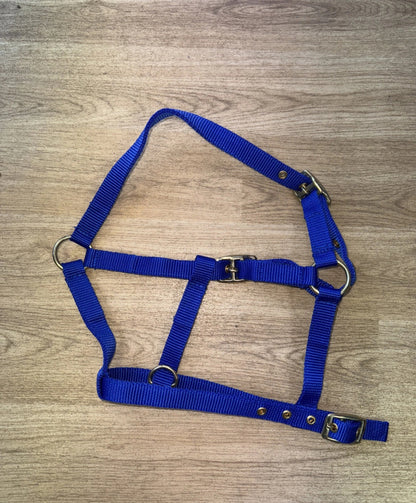 STS Foal Headcollar