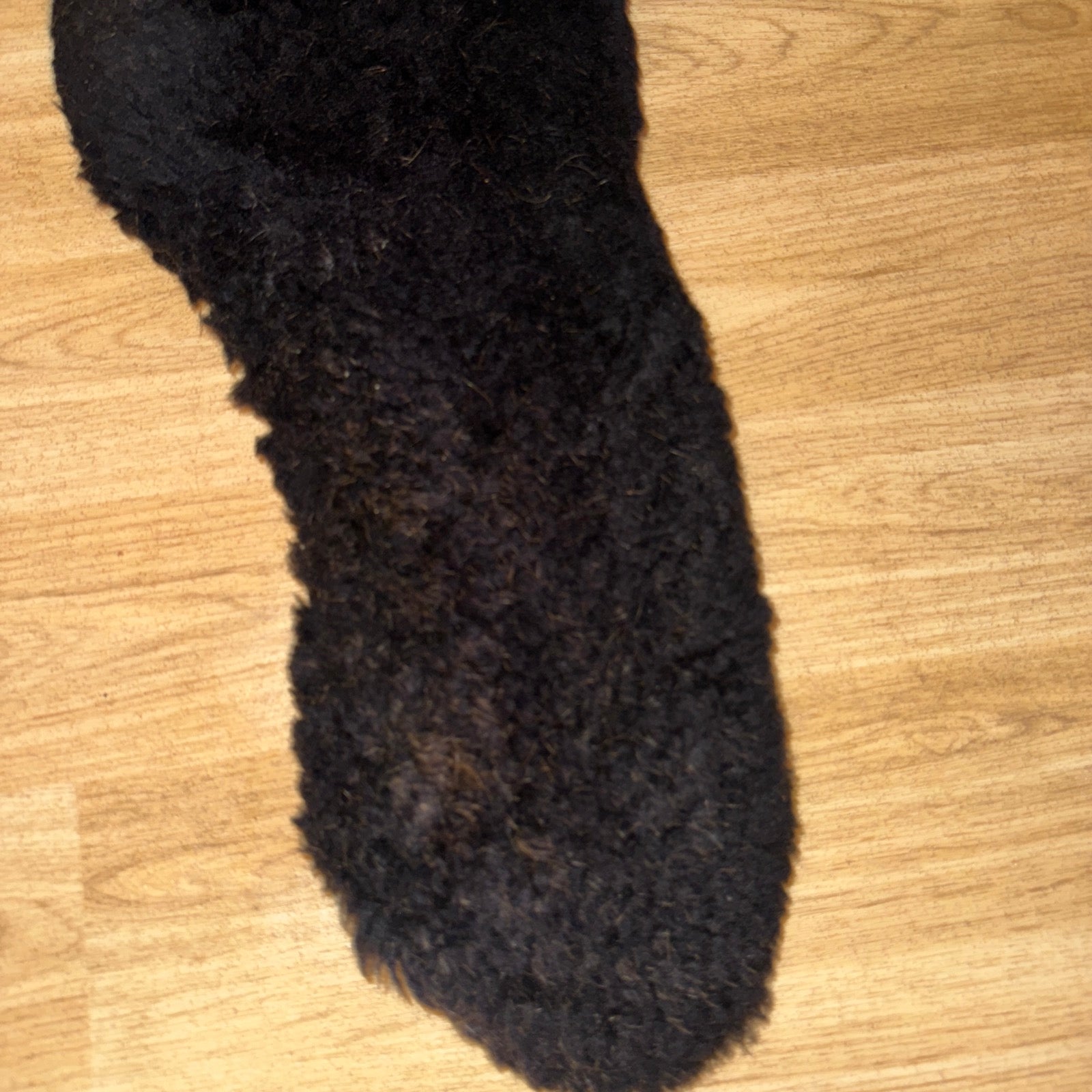 Lemieux Wool Anatomical Dressage Girth Sleeve