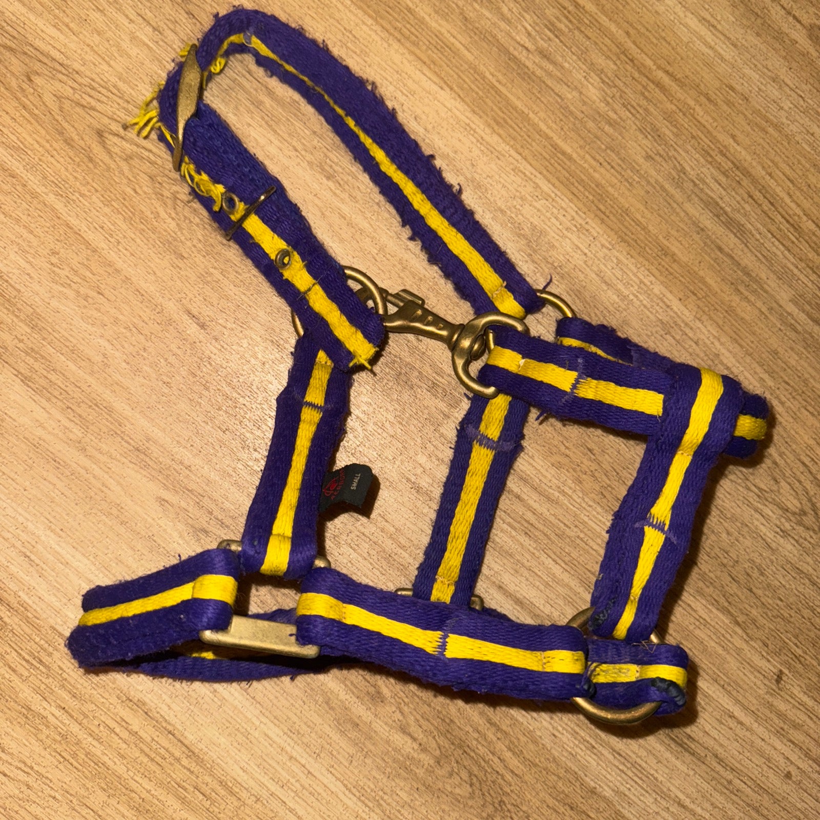 Aerborn Purple / Yellow Small Pony Headcollar