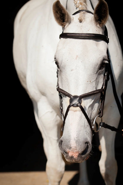 Eco Rider Galway v2.0 Bridle