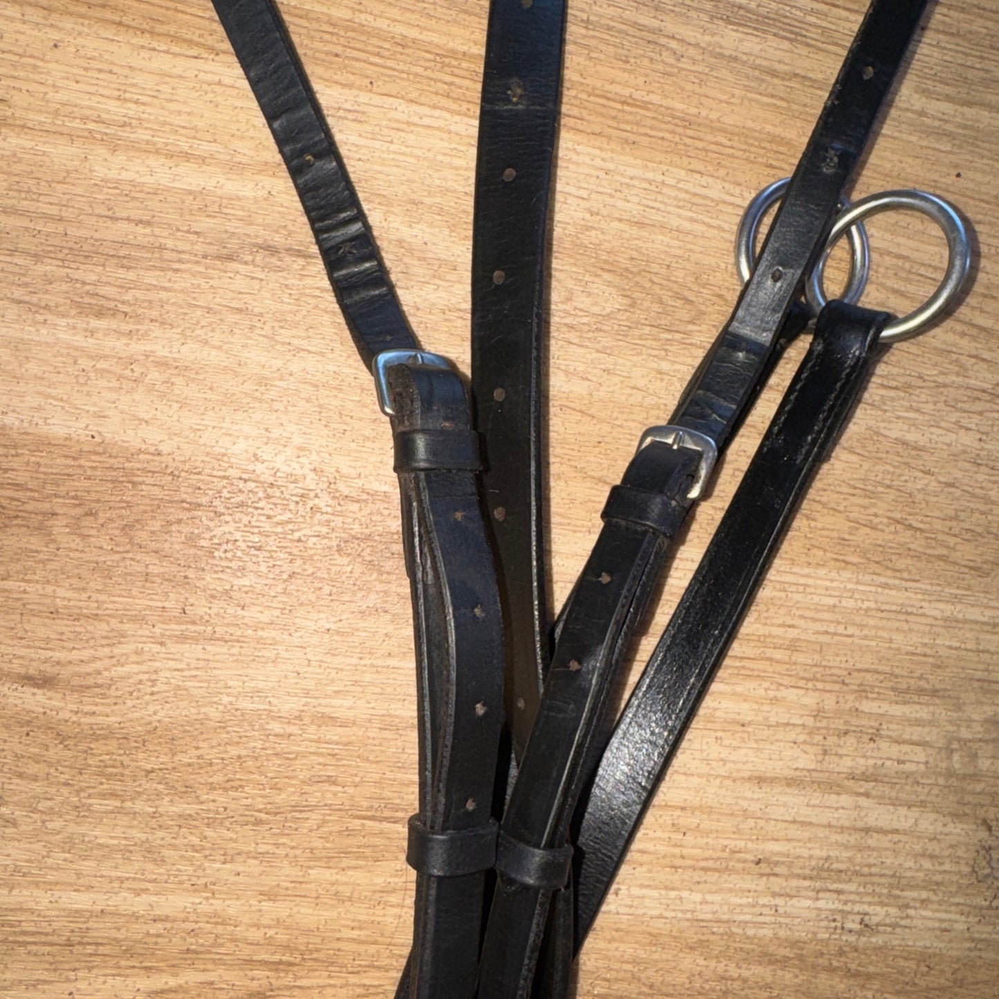 Black Leather 3 Point Breastplate Full Running Martingale Attachment Hunting #33