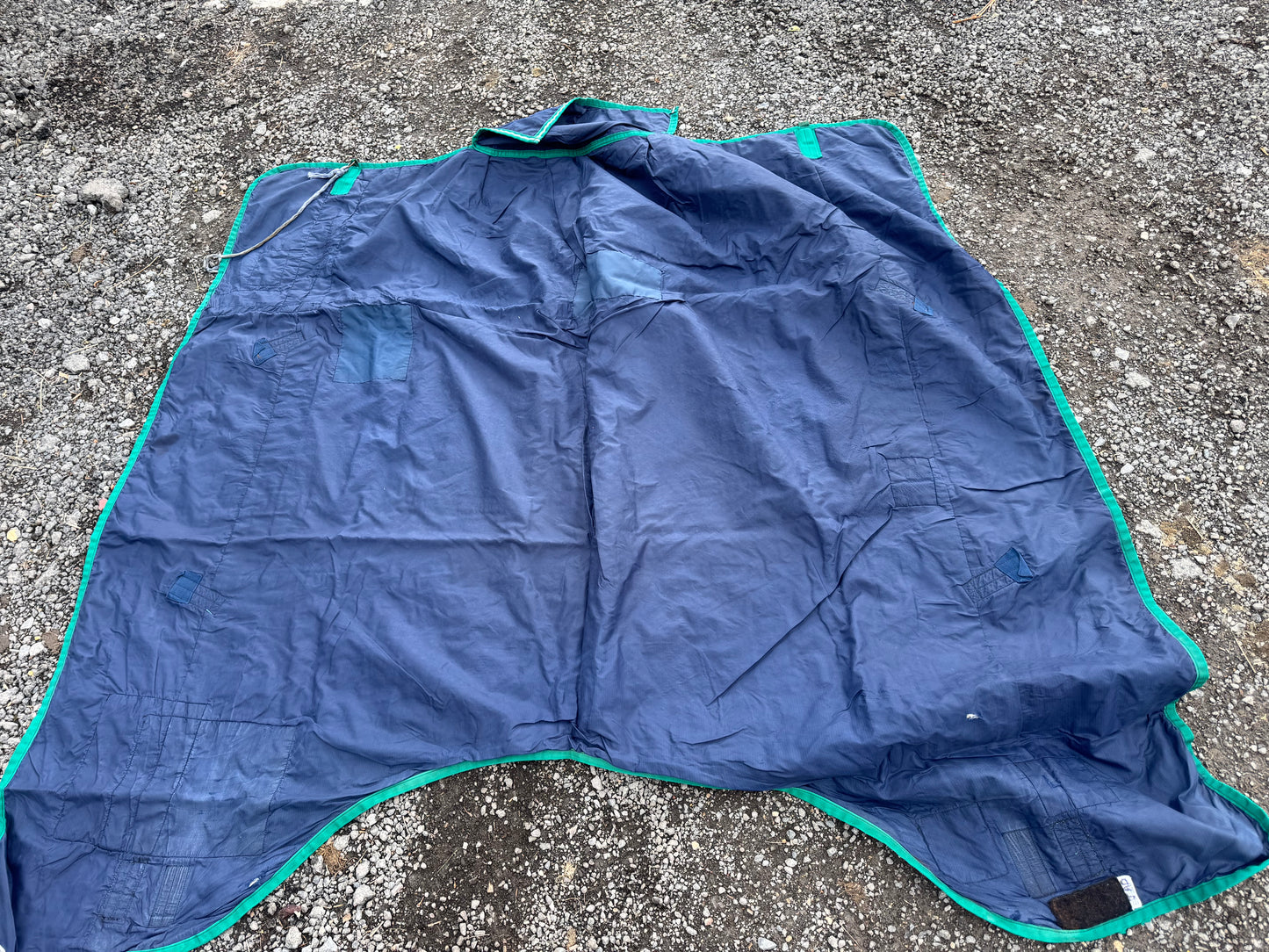 Rhino 6’6 No Fill Turnout Rug | Waterproof 0gm Horse Reproofed