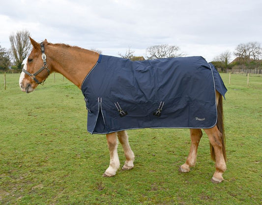 Rhinegold Capri 150gsm Fill Outdoor Rug
Limited Stock!