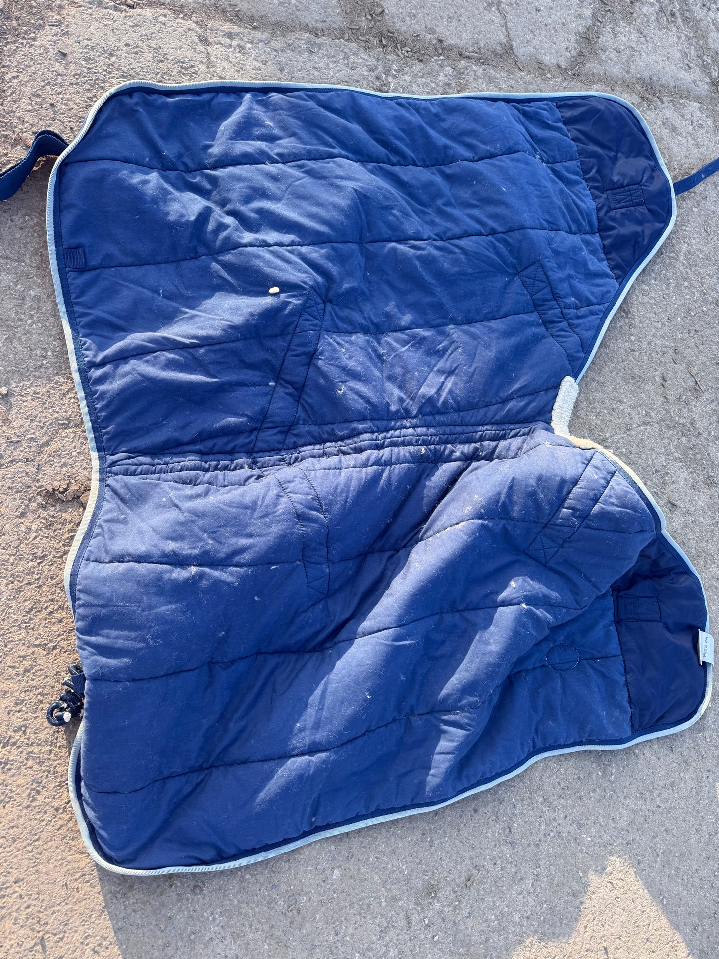 Weatherbeeta Jasper 4’0 200gm Foal Stable Rug