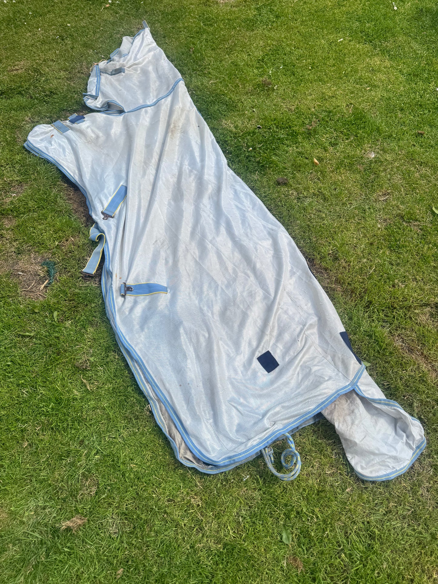 Saxon 6’6 Fly Combo Rug Second Hand Cob Horse Tack