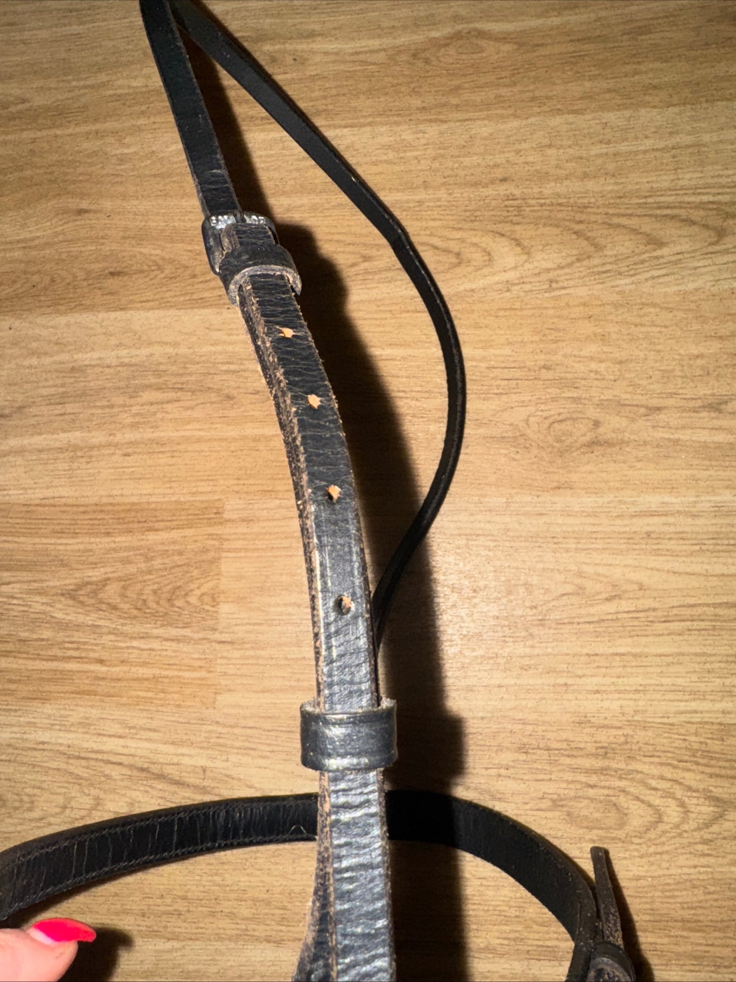 Gallop Pony Size Cavesson Noseband #112