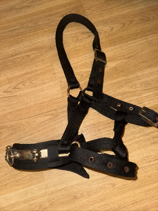 Aerborn COB Padded Lunging Cavesson - Free Postage