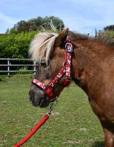 Rhinegold Unicorn Padded Headcollar And Matching Lead Rope Set