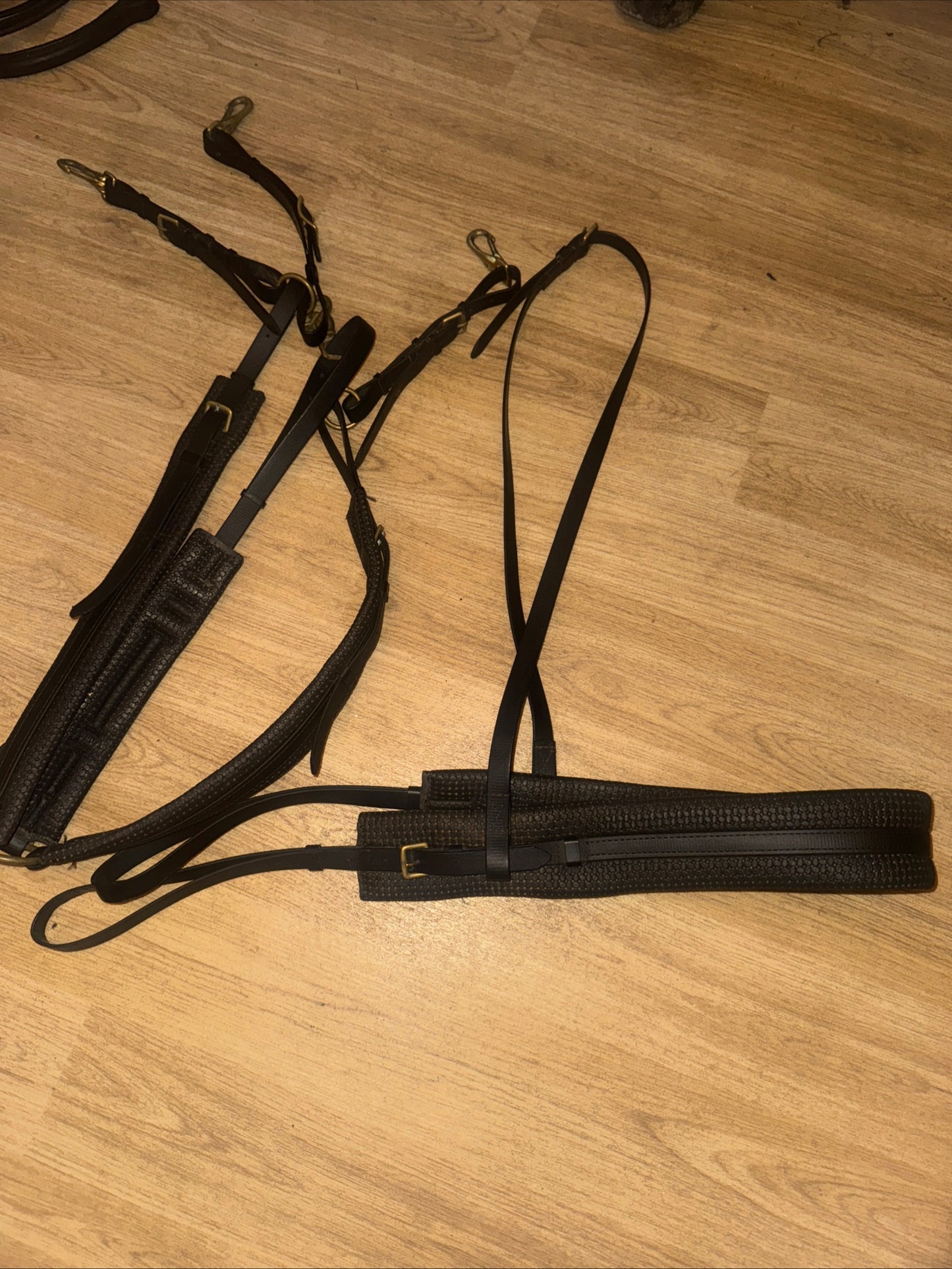 Endurance Breastplate Martingale And Breastgirth
