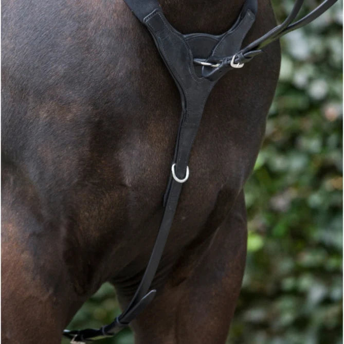 Cameo Performance Elasticated Breastplate