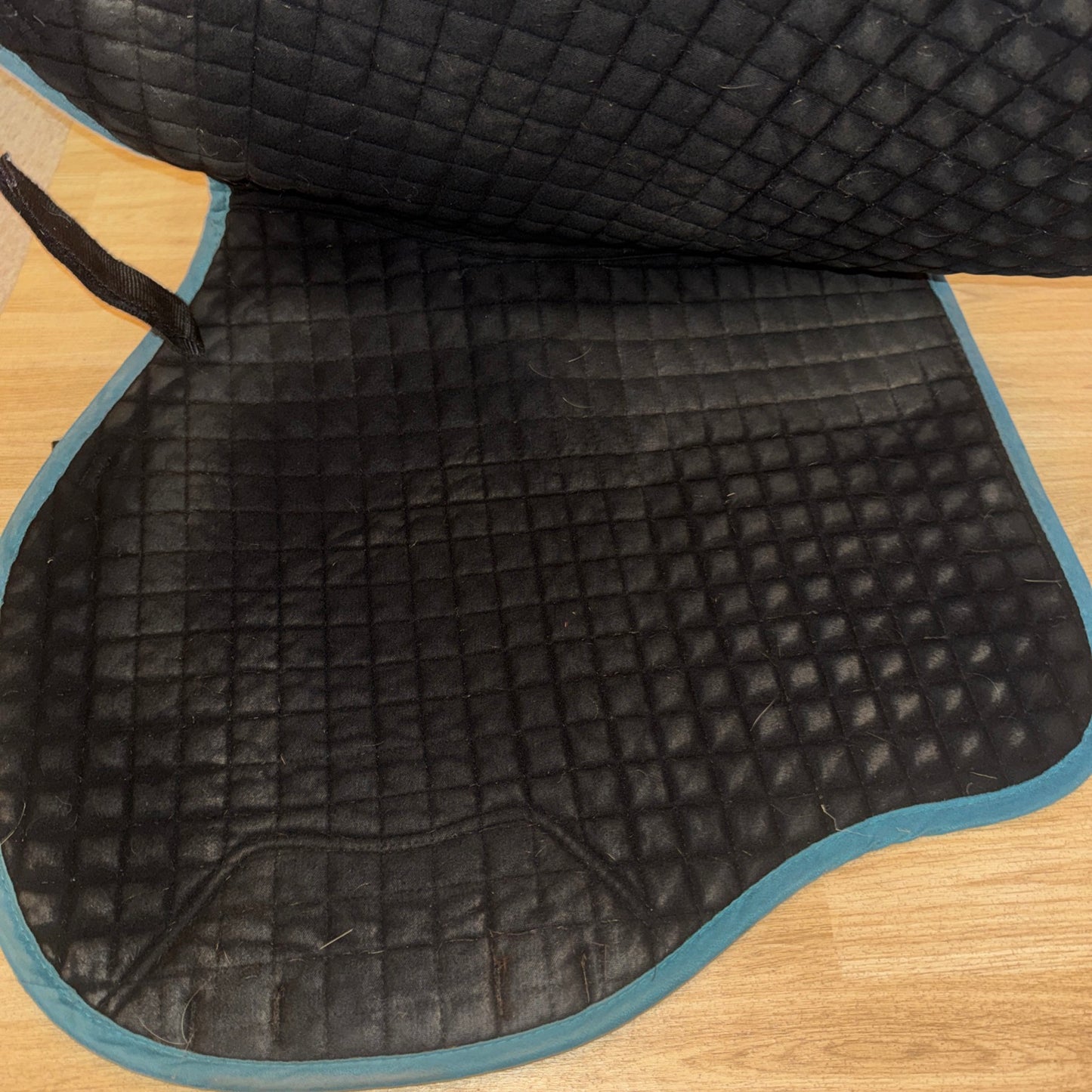 Lemieux Teal Saddle Pad Gp Small / Medium