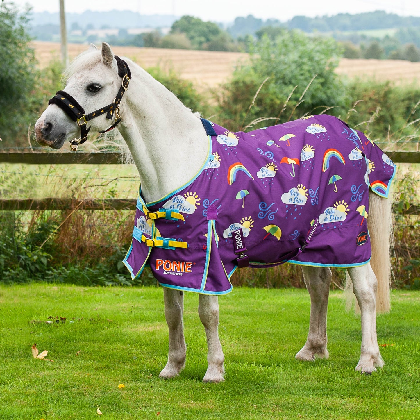 Ponie Rain or Shine 50g Dual Rug & Neck Turnout Set