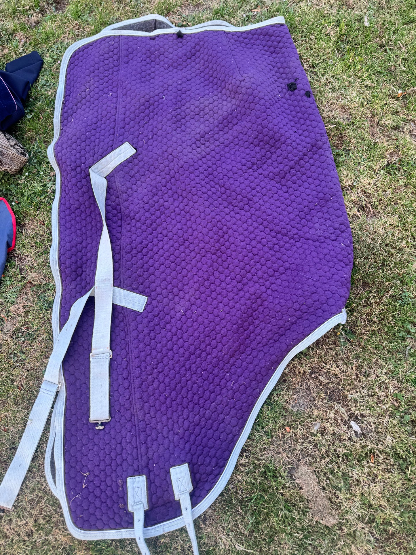 Weatherbeeta 6’0 Wick Away Thermo Cell Rug Like Thermatex Colin Cook Horse Tack
