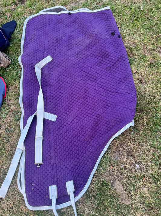 Weatherbeeta 6’0 Wick Away Thermo Cell Rug Like Thermatex Colin Cook Horse Tack