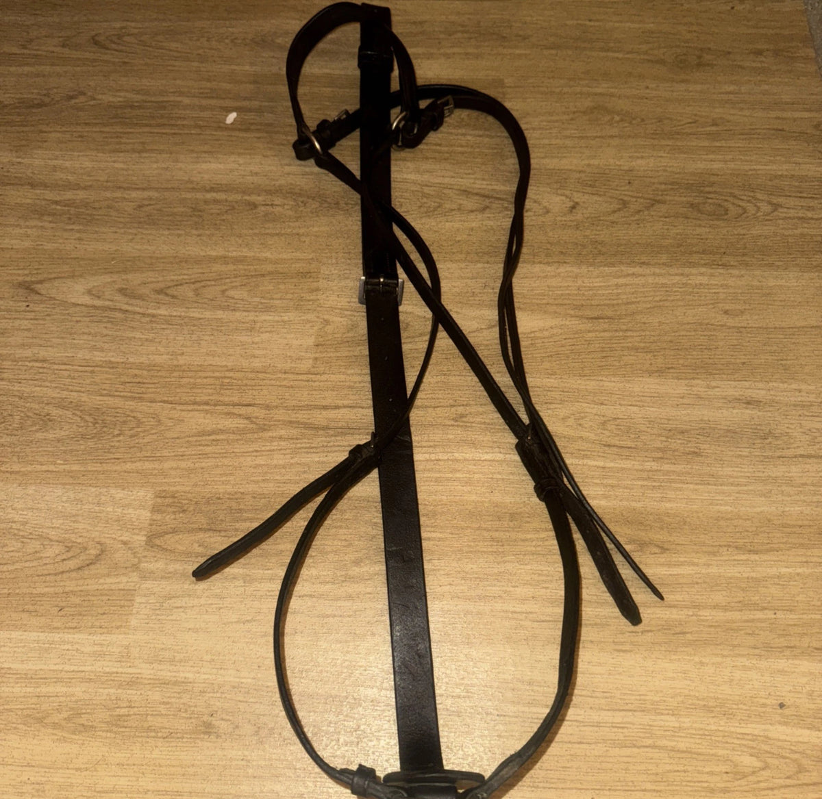 English Leather Full Size Breastplate #5