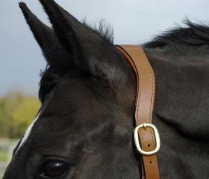 Rhinegold Anatomical Leather Headcollar