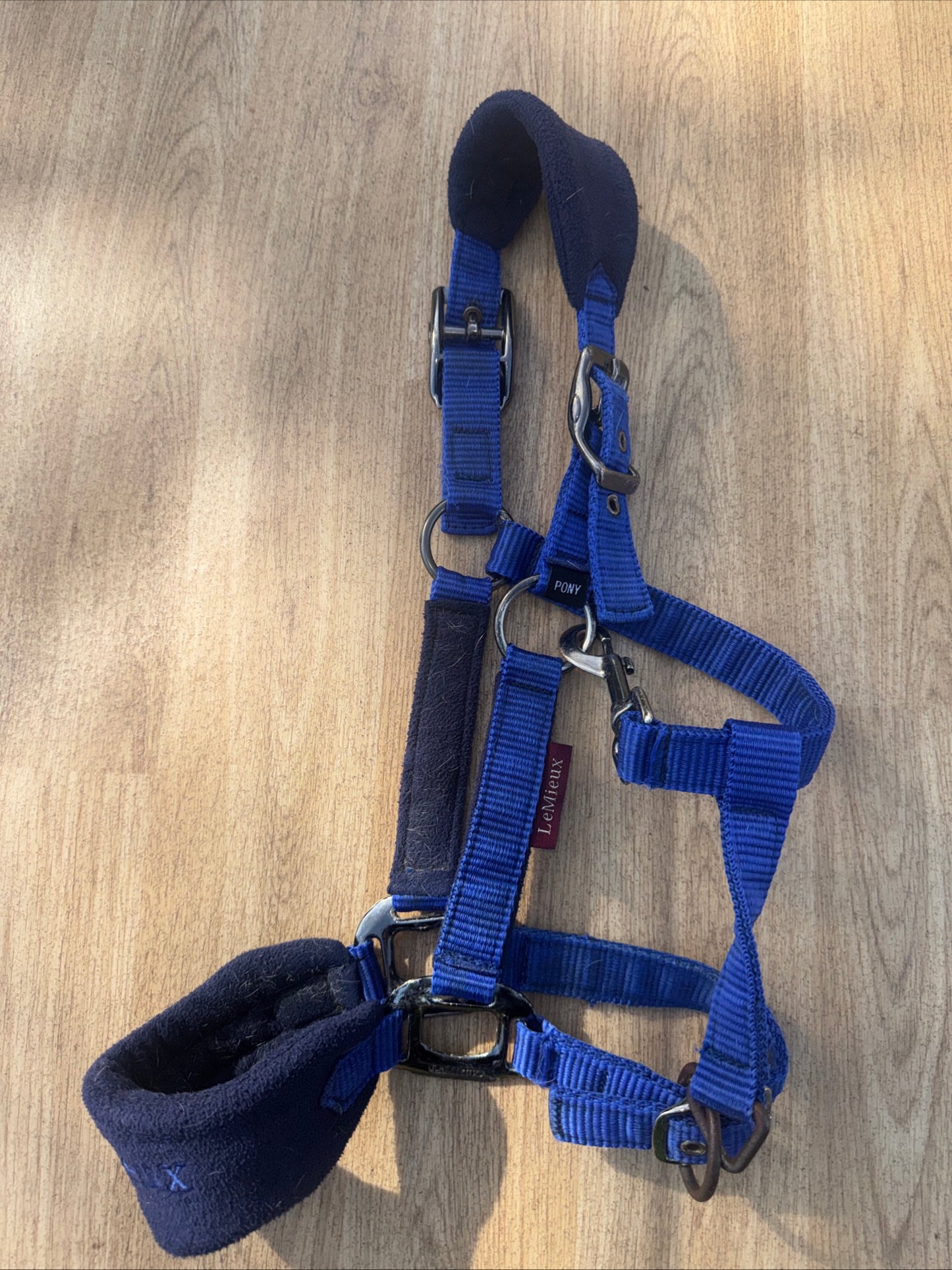 Lemieux Benneton Blue Headcollar  | Size Pony