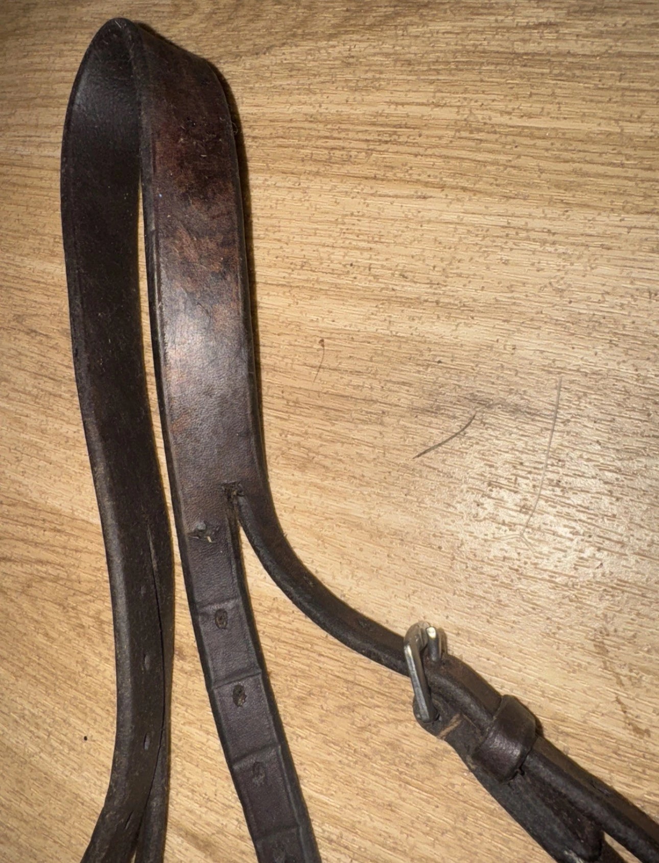 English Brown Pony Headpiece #311