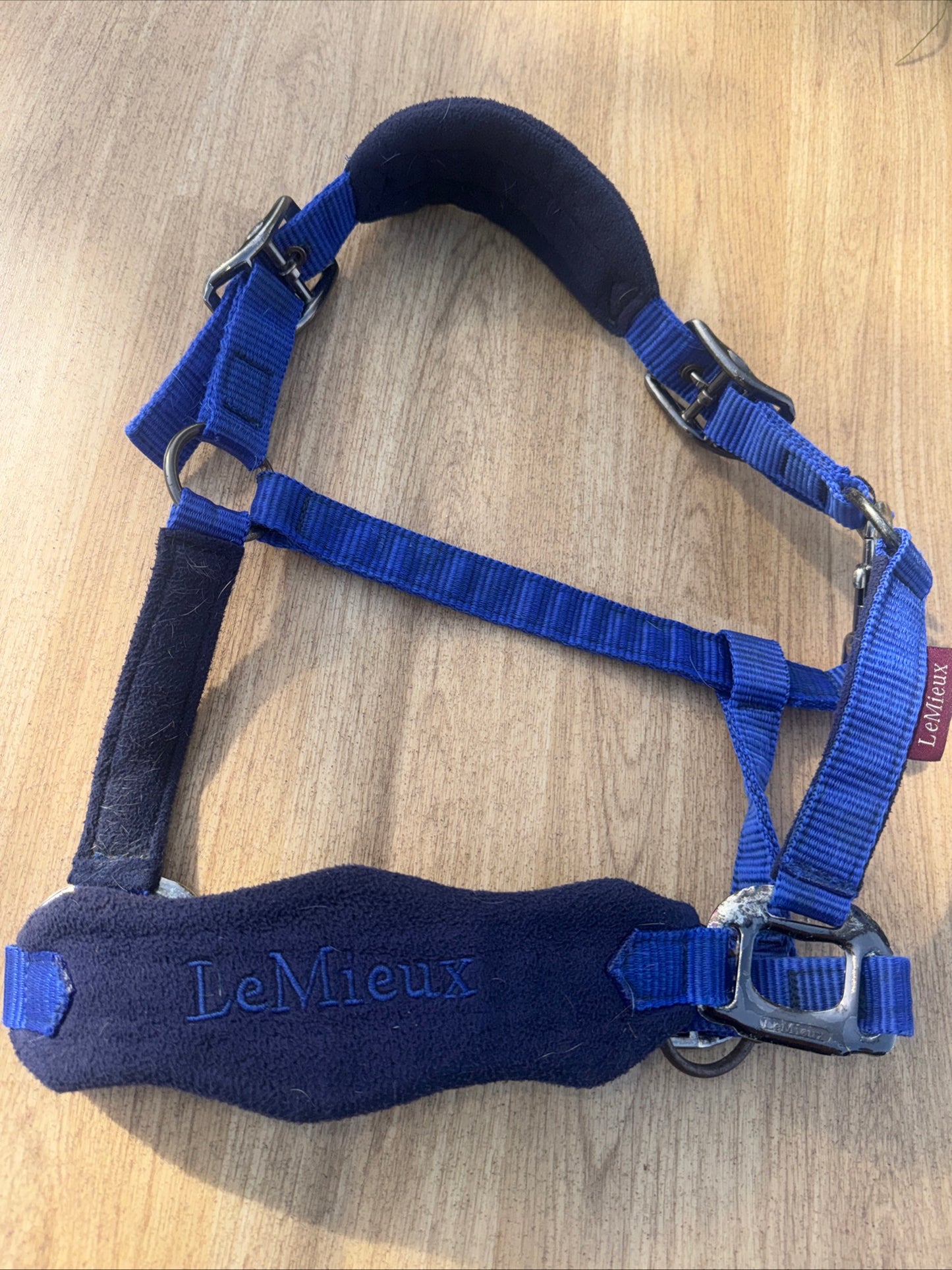 Lemieux Benneton Blue Headcollar  | Size Pony