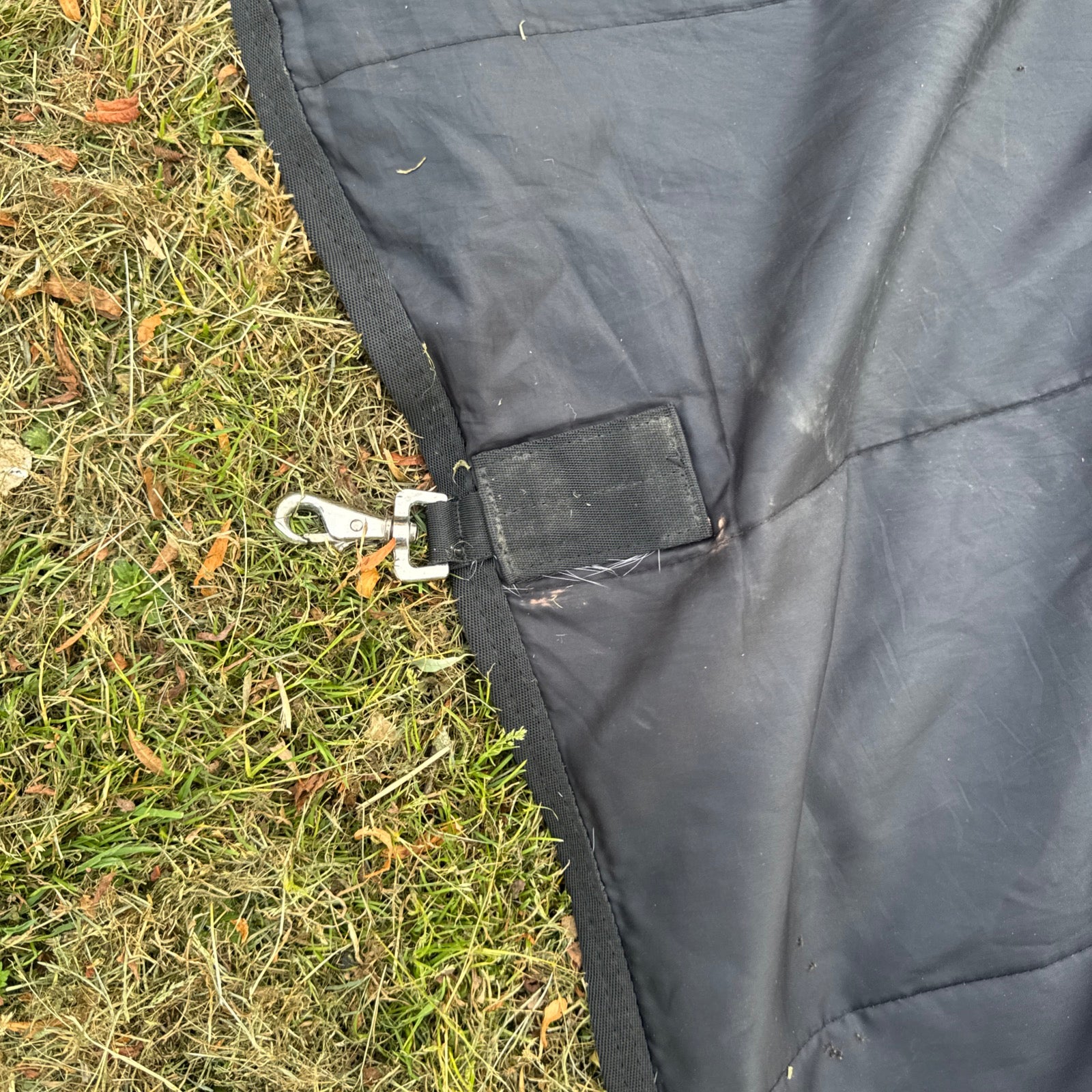 Big Horse Shop Epic 7’3 100gm Rug Liner
