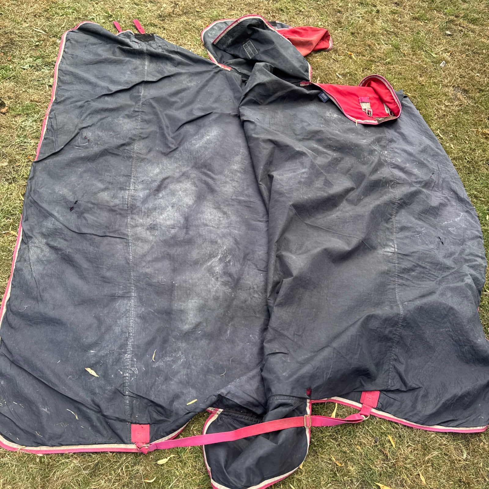 Shires Tempest 6’9 No Fill Turnout Combo Rug