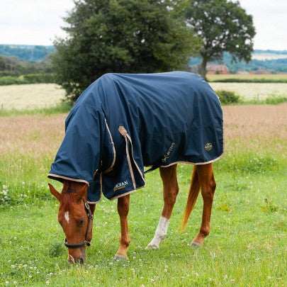 Gallop TROJAN 100g Combo Turnout Rug - 5’6