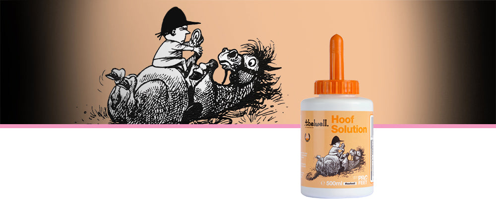 Naf Thelwell Hoof Solution .