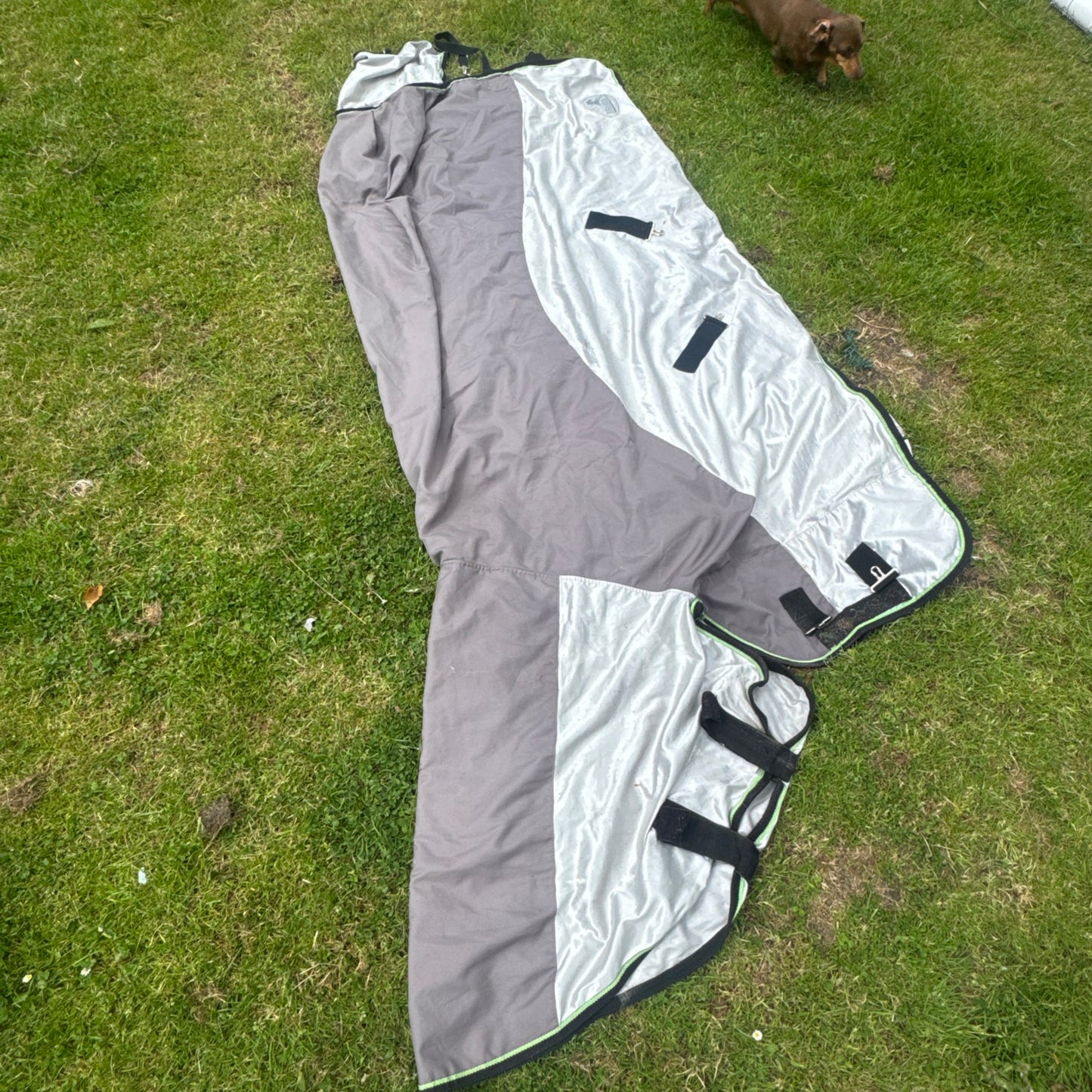 Masta 6’6 Waterproof Fly Combo Rug Second Hand Horse Tack Equine Cob