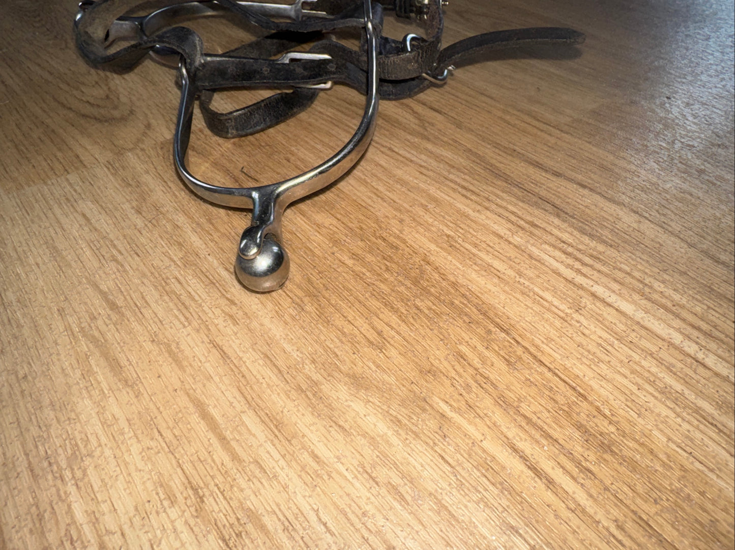 Roller Ball Ladies Spurs With Leather Spur Straps | Second Hand Horse Rider #113