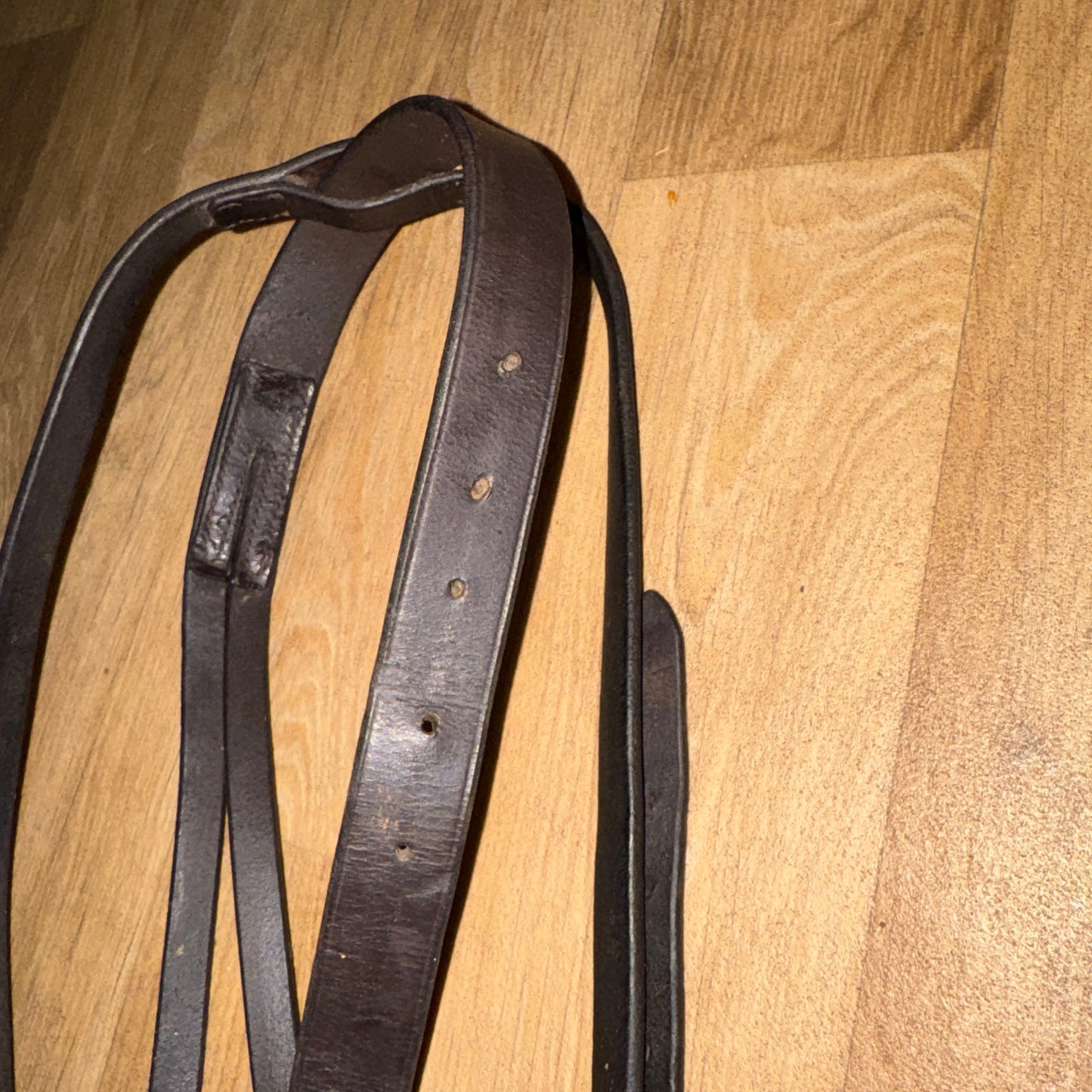 English Leather Havana Brown Running Martingale | Size Cob #44