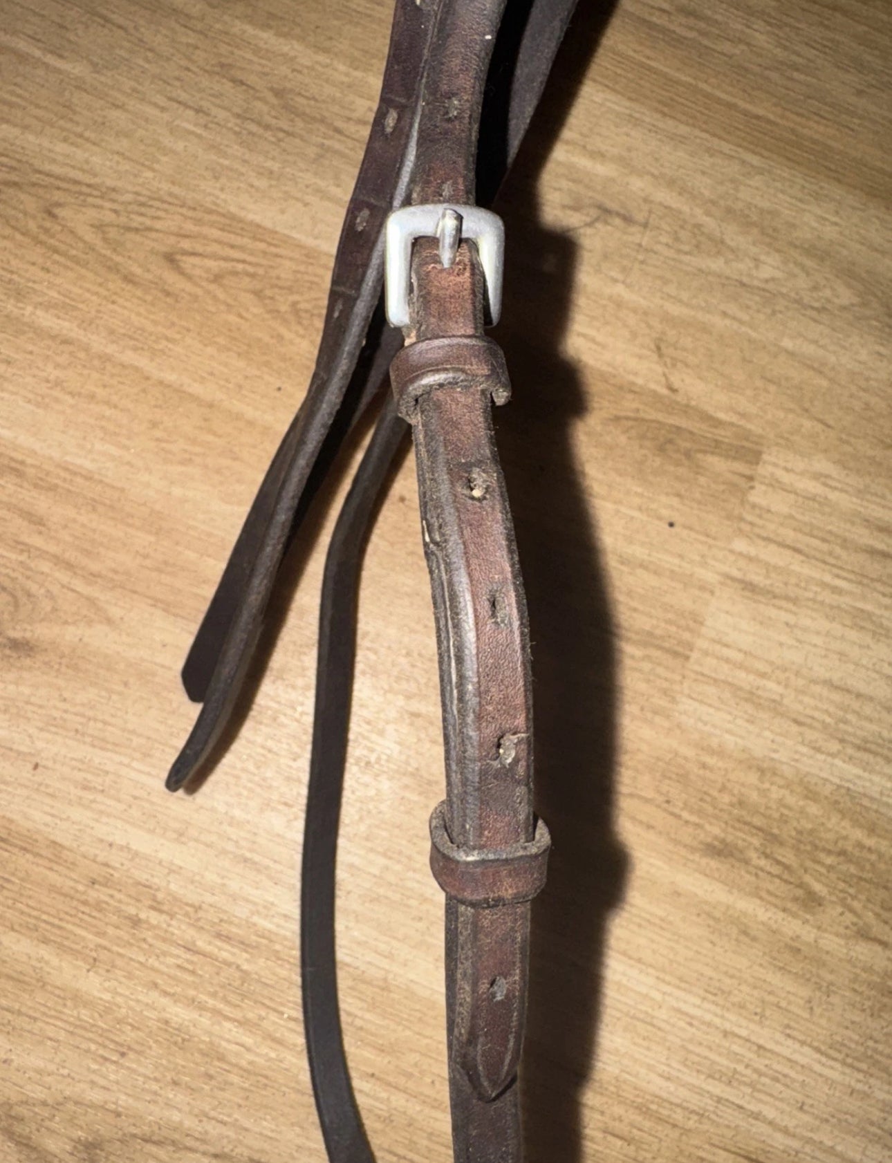 English Brown Pony Headpiece #311